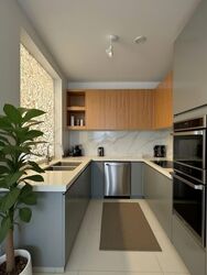 Onze @ Tanjong Pagar (D2), Apartment #566324951